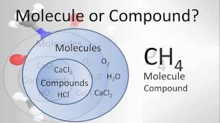 Molecule vs Compound Examples and Practice [upl. by Nageam]