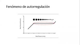 VASOPRESORES E INOTROPICOS QUE USAR Y CUANDO INICIAR DR LUIS GATTI [upl. by Netaf]