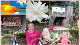 Mini Vlog Exploring Tuinland Nursery  Bird Park  Aquarium Tackle Shop [upl. by Tolmann]