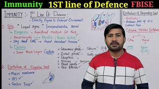 First line of defense immune system  Immunity Class 11 Fbise  Innate immunity [upl. by Aidroc]