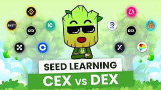 CEX vs DEX How to Choose the Best Exchange for your Crypto  SEED Learning 8 [upl. by Ylro]