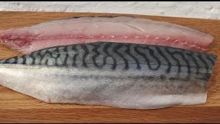 How To Fillet A MackerelAnd Cook It In Real TimeMackerel [upl. by Kcirrez]