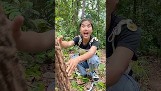 Survival Skills In Forest Kitten rescue survival bushcraft camping outdoors forest kitten [upl. by Tiphany]