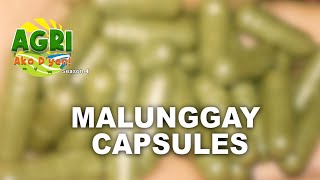 Malunggay Capsules [upl. by Yud]