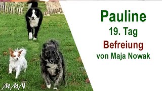 Befreiung  Pauline 1419Tag  von Maja Nowak [upl. by Kendrick50]