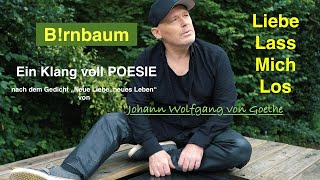 Brnbaum  Liebe Lass Mich Los offizVideo  Neue Musik 2024  Goethe  quotNeue Liebe neues Lebenquot [upl. by Tlok]