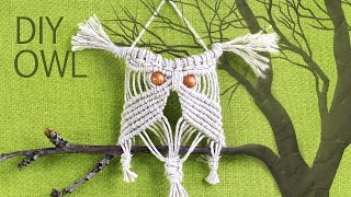 Make Easy Macrame Owl  Wall Hanger Tutorial [upl. by Kovar]