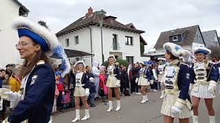 Heppenheim Fastnachtsumzug 2024 🎉 2 🥳 [upl. by Bertelli]