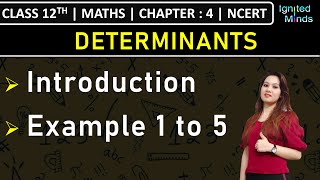 Class 12th Maths  Introduction to Determinants  Example 1 to 5  Chapter 4  NCERT [upl. by Eleinad]