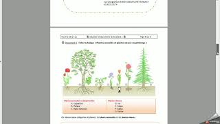 DCL FLE présentation des documents [upl. by Nickles]