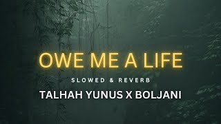 JANI  Owe Me a Life ft Talhah Yunus Slowed Reverb  MUSIC ASTEROID [upl. by Adniles925]