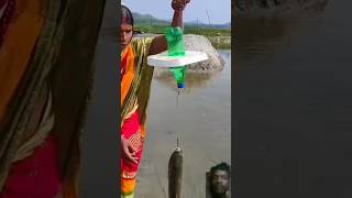 fish ka new fishing fishtrap fish indiantrapfishing fishingtips rohufishcatching villagefish [upl. by Aihtenak836]