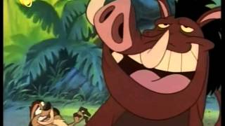 Abenteuer mit Timon und Pumbaa Theme Song DeutschGerman amp Credits [upl. by Aliuqaj]