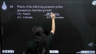 Which of the following promotes pollen germination And tube growth [upl. by Four680]