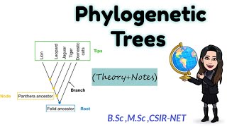 Phylogenetic Trees Full Theory ExplanationBsc Msc CSIRNET Part1 hindi English ◆ Easy Notes [upl. by Judie]