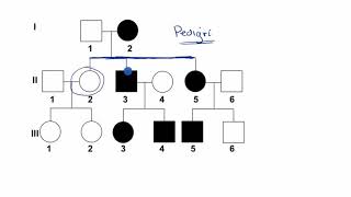 Pedigrí  Khan Academy en Español [upl. by Melesa]