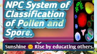 NPC System of Classification of Pollen and Spore  Palynology in botany  Palynology bsbotany [upl. by Eynenihc918]