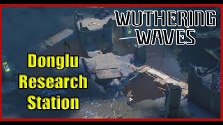 How to Solve West of Donglu Research Station Puzzle Guide  Wuthering Waves [upl. by Mccurdy]