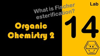 Organic Chemistry Lab Experiment HOW TO MAKE AN ESTER USING DOWEXCATALYZED FISCHER ESTERIFICATION [upl. by Rexana]