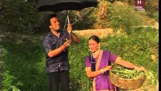 Akhuma Kajala Galu Me Krima  2014 New Kumaoni Hit Song  Girish Kohali [upl. by Galateah]