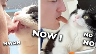 My Cats Reaction To a FAKE TONGUE [upl. by Tyree412]