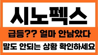 시노펙스 주가전망급등 얼마 안 남았다 말도 안되는 상황 확인하세요시노펙스주가전망 [upl. by Winnie]