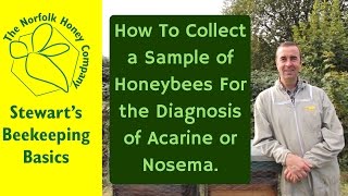 How to Collect a Sample of Honeybees for Diagnosis of Acarine or Nosema Beekeeping Basics [upl. by Griffie]