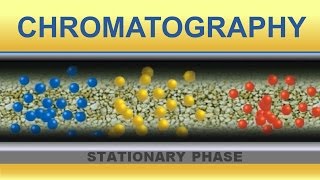 Chromatography Animation IQOGCSIC [upl. by Annelak]