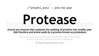 Pronunciation of Protease  Definition of Protease [upl. by Shulins]