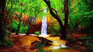 Relaxing Zen Music and Nature Sounds  Wooden Flute and Pan Flute  Meditation Sleep Sound [upl. by Ralyt]