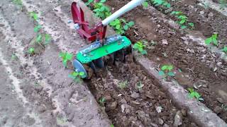 Easy Make Inter cultivator for vegetable and weed control [upl. by Eiboh688]