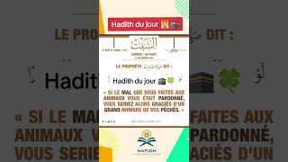 Hadith du jour‹‹ حديث اليوم » لو غفر لكم من تأتون إلى البهائم لغفر لكم كثيرا [upl. by Zane]