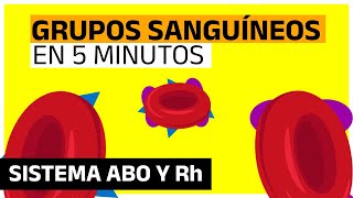 GRUPOS SANGUÍNEOS Sistema ABO y Factor Rh  EN 5 MINUTOS [upl. by Annauqal]