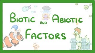 GCSE Biology  Biotic and Abiotic Factors 83 [upl. by Ardnuaek84]