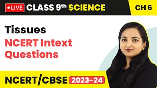 Tissues  NCERT Intext Questions  Class 9 Science Chapter 6 LIVE [upl. by Ecnerual719]