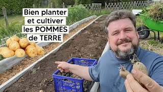 Comment bien planter et cultiver les POMMES de TERRE 🥔『TUTO』 [upl. by Odlavso555]