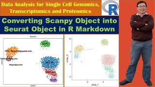 Converting Scanpy Object into Seurat Object in R Markdown [upl. by Atniuq]