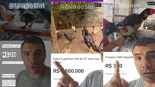 Mostrando os Preços das Galinhas em SÃO PAULO 💸🐓😱 [upl. by Thant]