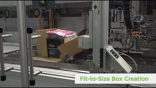 CVP Automated Packaging Solution [upl. by Lebama460]