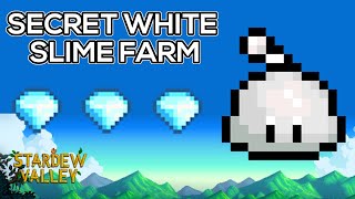 First Ever RARE White Slime Farm  SECRETS of Stardew Valley [upl. by Ayeka]