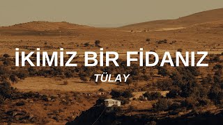 Tülay  İkimiz Bir Fidanız SözleriLyrics 1975 Plak Kaydı [upl. by Sedinoel618]