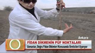 Fidan dikmenin püf noktaları [upl. by Ruddy]