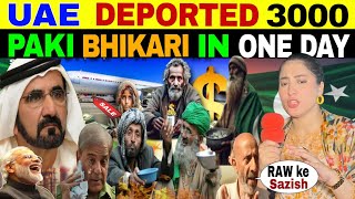 UAE DEPORTED 3000 PAKI BHIKARI IN ONE DAY PAK BLAME RAW KE SAZISH 😲 [upl. by Nnylyt]