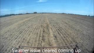 Soybeans Combining soybeans near Hillsboro Oregon 9132012 [upl. by Acnairb346]