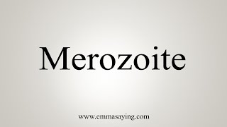 How To Say Merozoite [upl. by Patman]