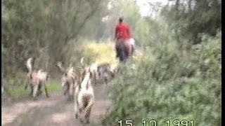 Quorn Foxhounds October 15th 1991 [upl. by Debo]