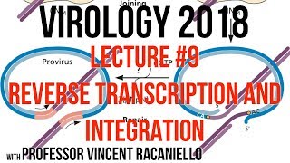 Virology Lectures 2018 9 Reverse Transcription and Integration [upl. by Onoitna]