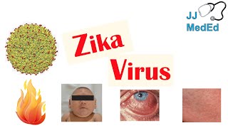 Zika Virus Infection  Transmission Congenital Defects Symptoms amp What You Need To Know [upl. by Jacklin340]