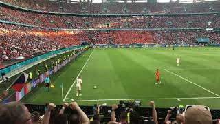 Tomas Holes goal against the Netherlands  fans [upl. by Tommy58]