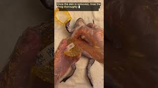 You Wont Believe How Easy It Is to Cook Frog cooking frog food recipe diy [upl. by Tjaden]